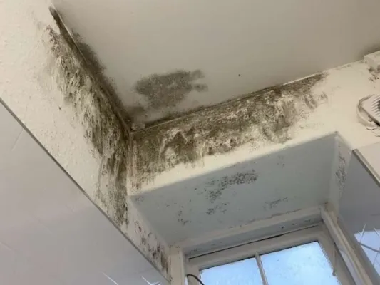 Des images montrent des appartements étudiants à Édimbourg criblés de moisissures sévères